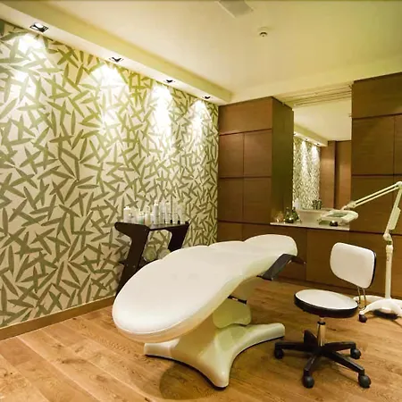 酒店 派拉顿吉山脉度假村&spa