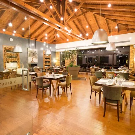 酒店 派拉顿吉山脉度假村&spa