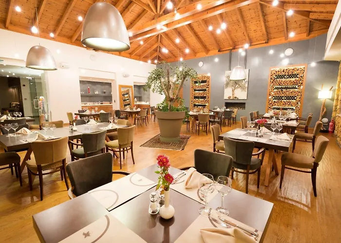 Hotel Pliadon Gi Mountain &