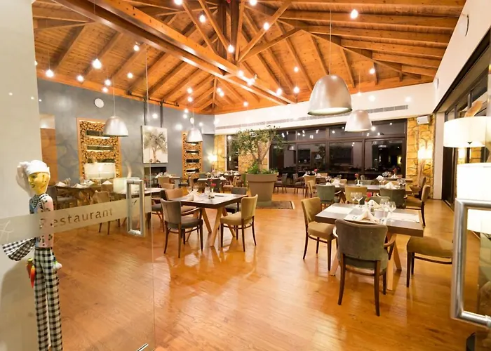 Hotel Pliadon Gi Mountain &